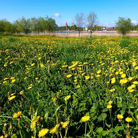 Ostseeblick * Kirchdorf (Poel)